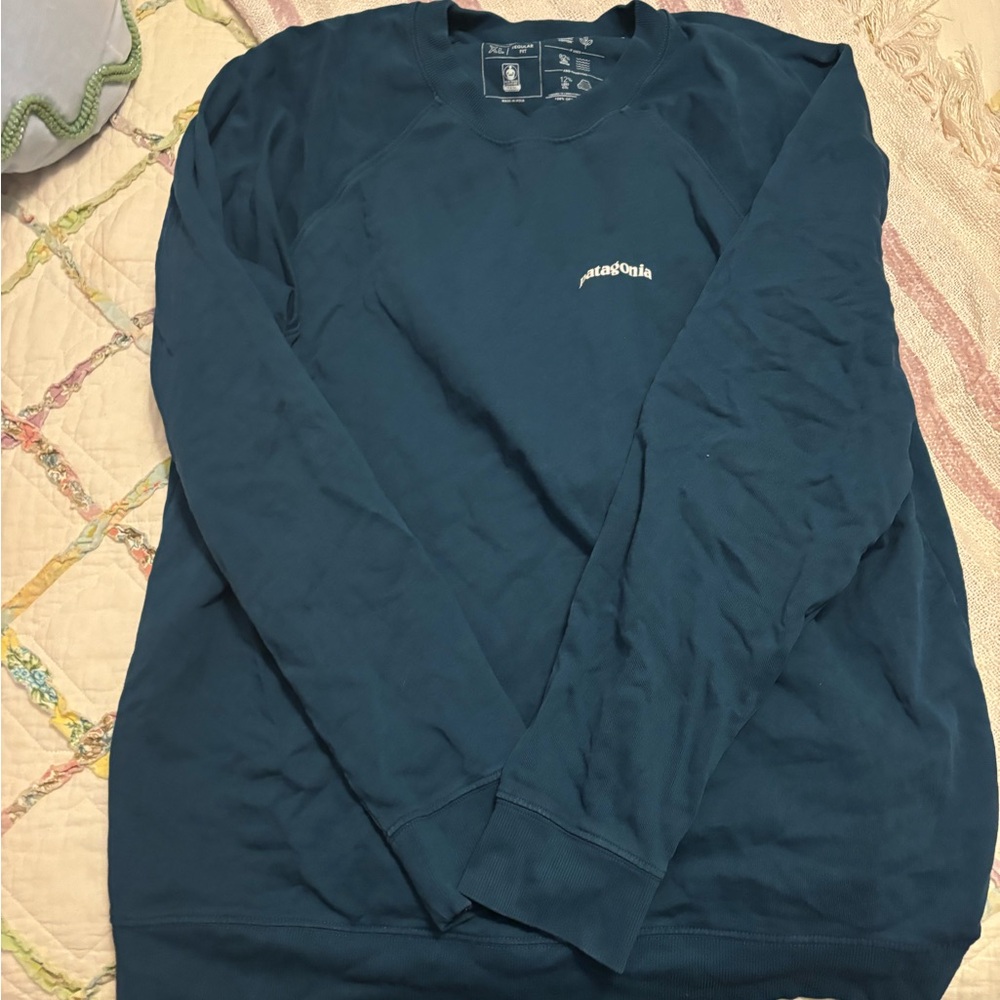 Men’s Patagonia Crewneck Hoodie